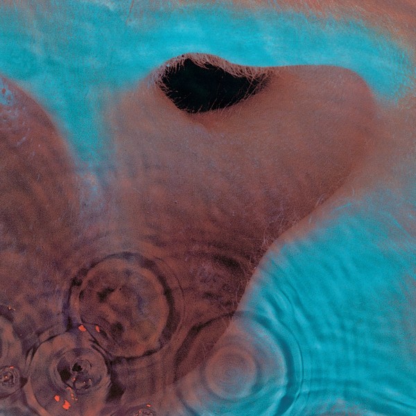 Viniluri  Greutate: 180g, VINIL WARNER MUSIC Pink Floyd - Meddle, avstore.ro