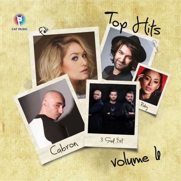 Muzica  Cat Music, CD Cat Music Various Artists - Top Hits Vol 6, avstore.ro