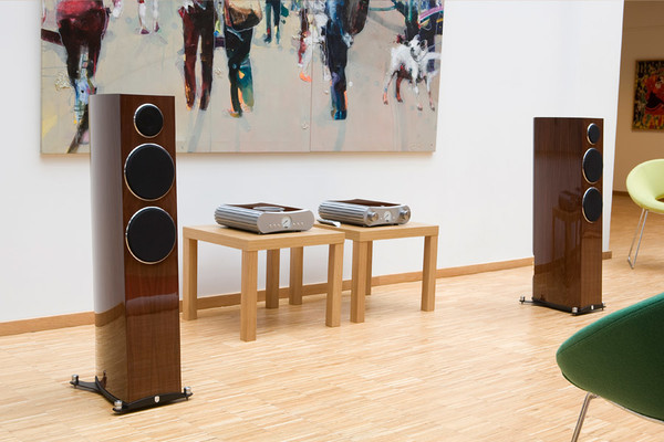 Boxe Gato Audio FM-6 la AVstore.ro