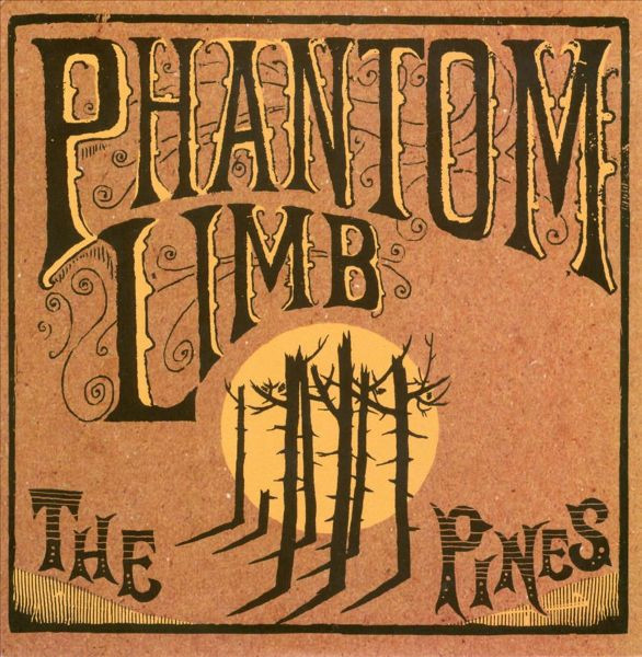 Viniluri  Naim, Greutate: 180g, Gen: Rock, VINIL Naim Phantom Limb: The Pines, avstore.ro