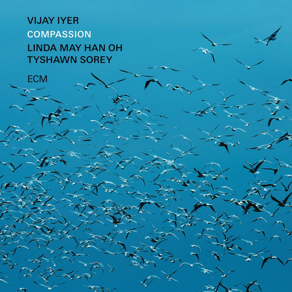Viniluri  ECM, VINIL ECM Vijay Iyer - Compassion, avstore.ro