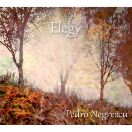 Muzica CD  Gen: Jazz, CD Soft Records Pedro Negrescu - Elegy, avstore.ro