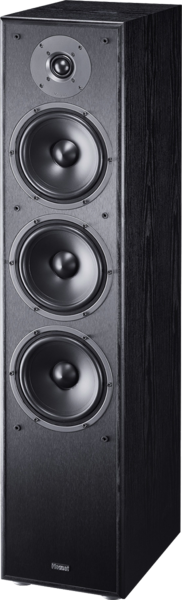Speakers  Type: Boxe de podea, Boxe Magnat Monitor S70, avstore.ro