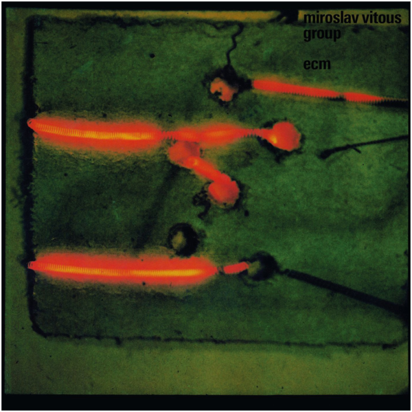 Viniluri  ECM, VINIL ECM Miroslav Vitous Group, avstore.ro