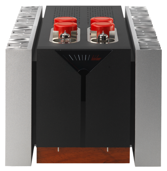 Amplificatoare de putere, Amplificator Pathos InPower MKII, avstore.ro