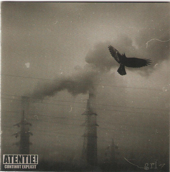 Muzica CD, CD UNIVERSAL (RO) H8 - Gri, avstore.ro