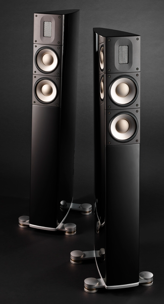 Speakers  Type: Boxe de podea, Boxe Raidho X2t, avstore.ro