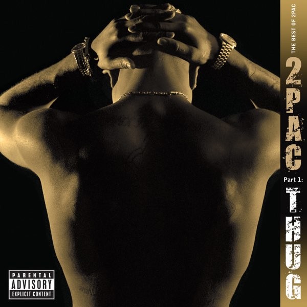 Viniluri  UNIVERSAL RECORDS, Greutate: Normal, VINIL UNIVERSAL RECORDS The Best Of 2Pac - Part 1 - Thug, avstore.ro