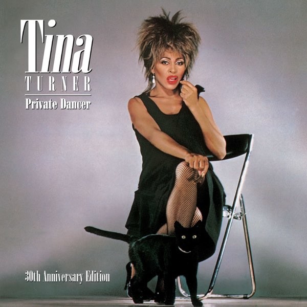 Muzica  WARNER MUSIC, Gen: Pop, VINIL WARNER MUSIC Tina Turner - Private Dancer, avstore.ro