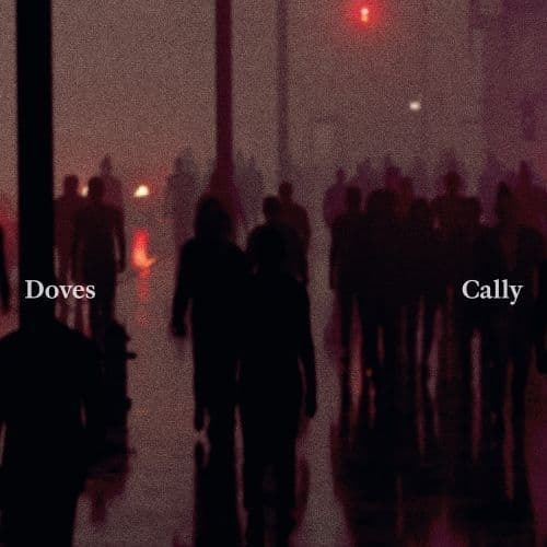 Viniluri  UNIVERSAL RECORDS, Greutate: Normal, VINIL UNIVERSAL RECORDS Doves - Cally / Lean Into The Wind, avstore.ro