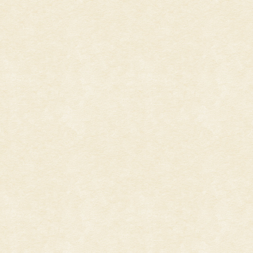 Absorbtie, Artnovion Loa, avstore.ro