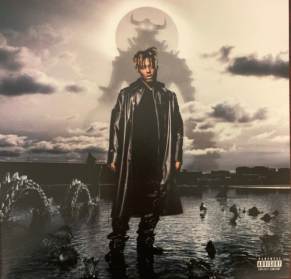 Viniluri  Greutate: Normal, Gen: Hip-Hop, VINIL UNIVERSAL RECORDS Juice WRLD - Fighting Demons, avstore.ro