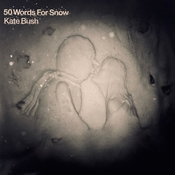 Viniluri, VINIL WARNER MUSIC Kate Bush - 50 Words For Snow, avstore.ro