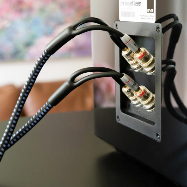 Cabluri audio, Cablu SVS Soundpath Ultra Bi-Wire - Conectori Banana 3m (10FT), avstore.ro