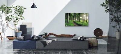 Imagine dintr-o sufragerie, demonstrând conceptul de decor viu