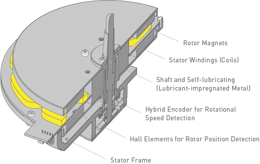 Concept of Coreless Direct Drive Motor