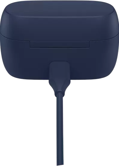 case-charging