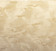 Boxe Dynaudio Evidence Master Bird's Eye Maple