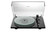 Pickup ProJect T2 Super Phono (Rainier) Negru lucios