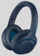  Sony - WH-XB900N Albastru