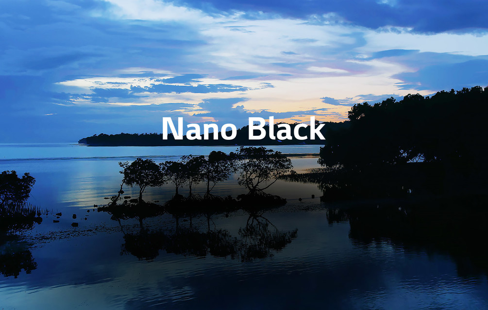 TV-NanoCell-65-55-49-SM90-04-Nano-Black-Desktop