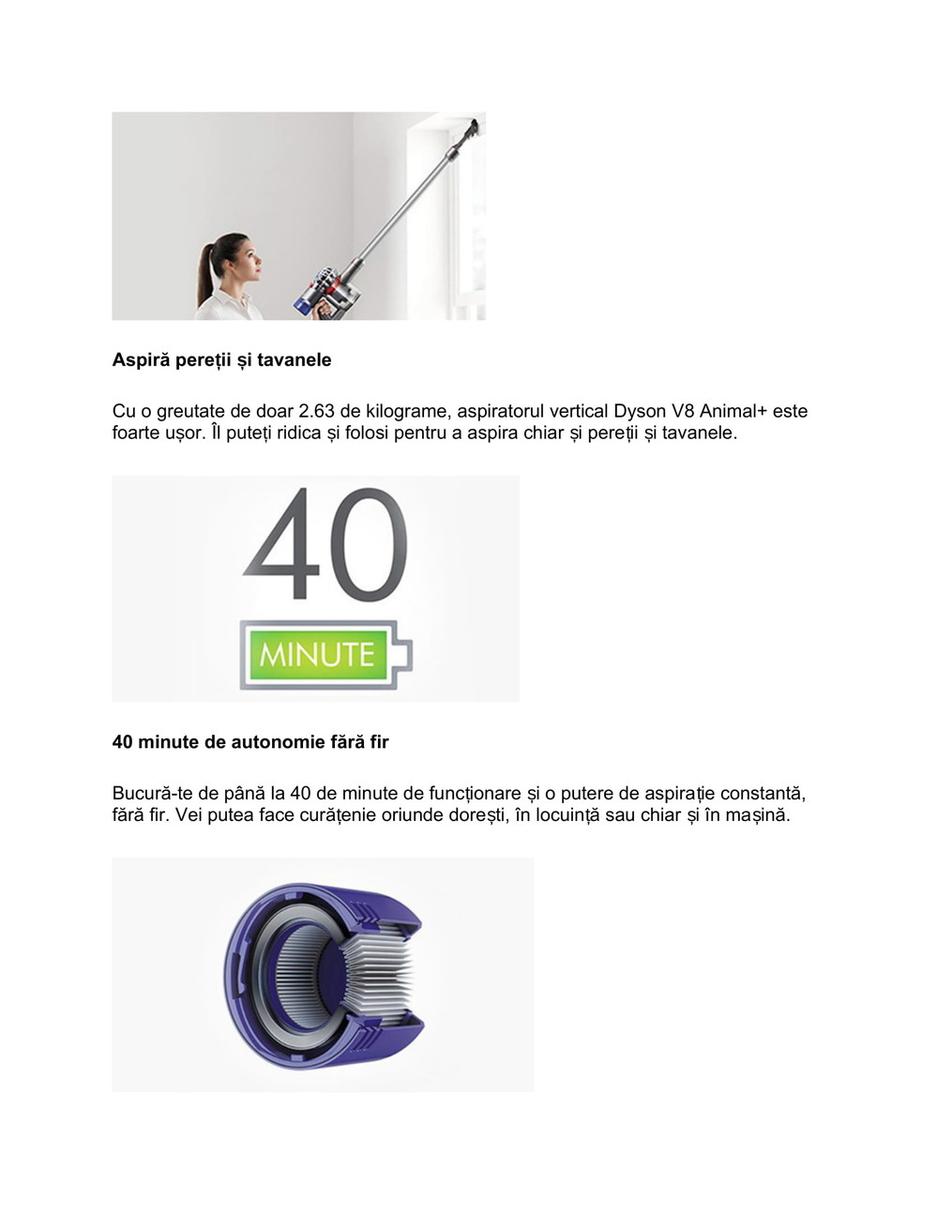 Dyson-V8-Animal-plus-3
