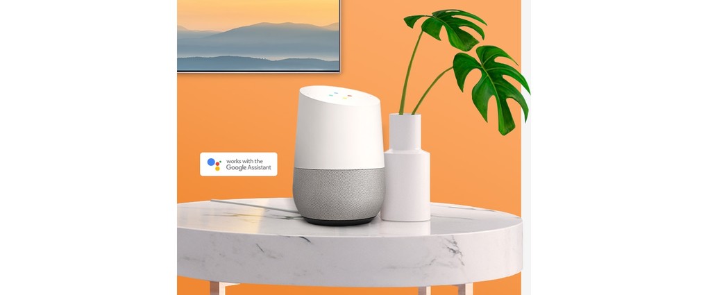 The Google Assistant