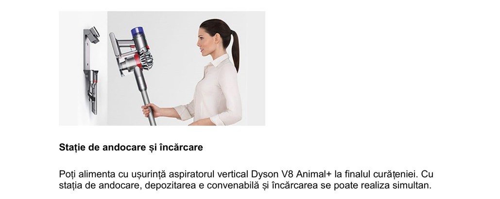Dyson-V8-Animal-plus-7