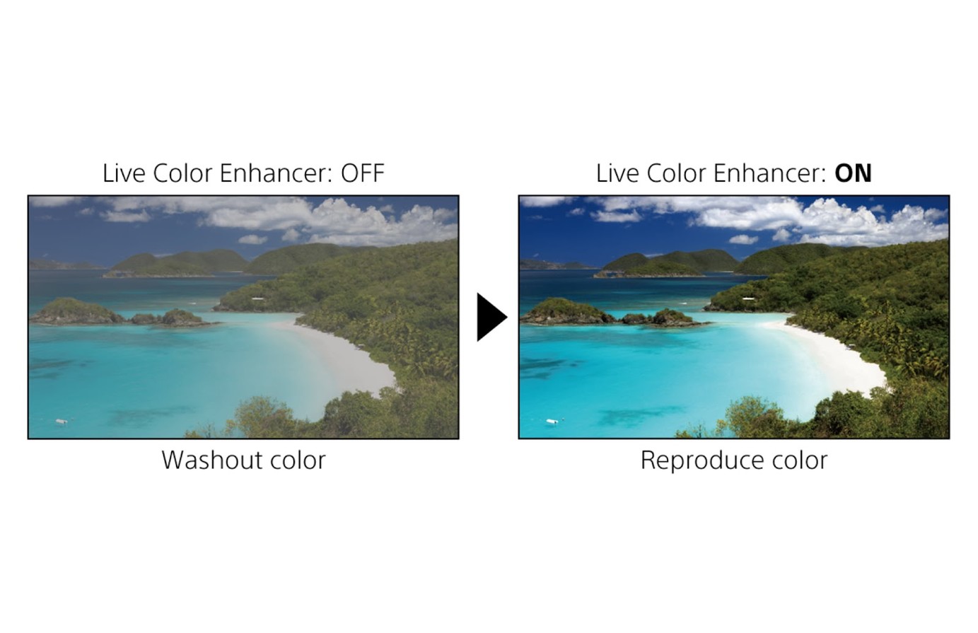 Live Color Enhancer