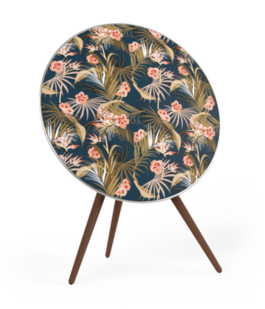 Cover BeoPlay A9 - La Fleur de Moeth