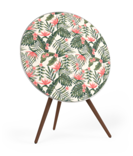 Cover BeoPlay A9 - La Fleur de Vao