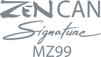 ZEN CAN Signature MZ99 from iFi audio