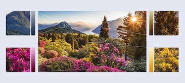 Imagini cu flori de munte extrem de detaliate, cu remasterizare HDR în funcţie de obiect