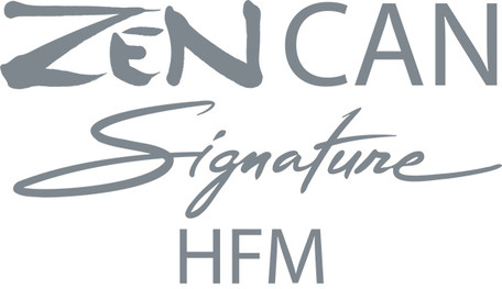 ZEN CAN Signature HFM from iFi audio