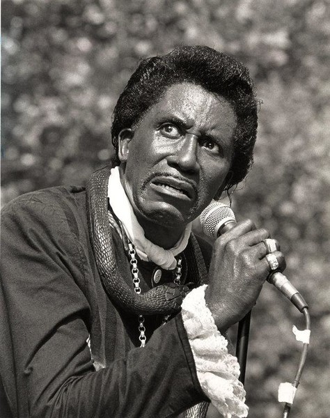 Image result for screamin jay hawkins