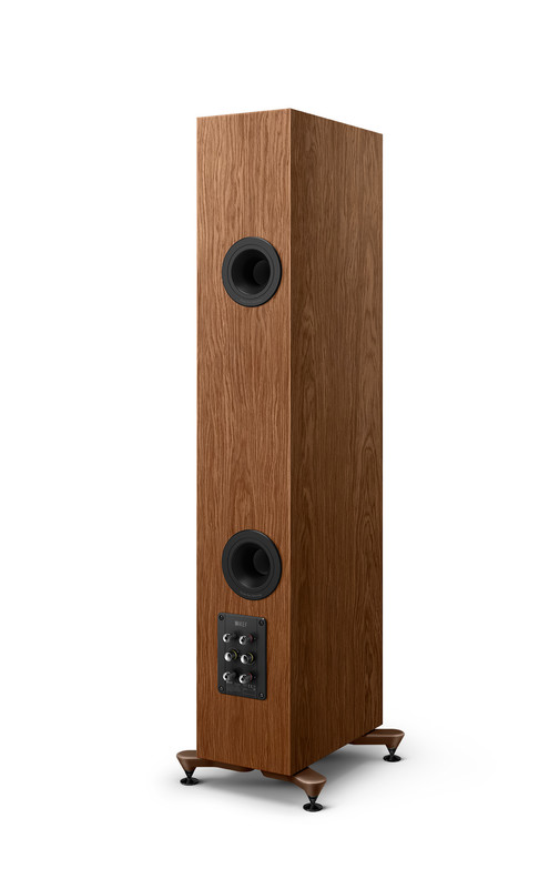 R5-Meta-Walnut-on-perspective-Back-single