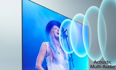 Imagine cu un cântăreț la un concert