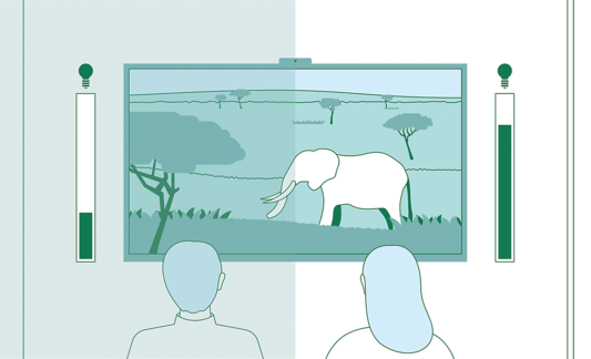 Grafic ilustrând două persoane uitându-se la televizor, cu imagine cu un elefant la țară și bare în ambele părți, pentru a indica luminozitatea ecranului