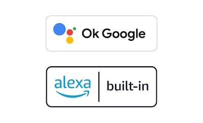 Sigle pentru OK Google și Alexa încorporate