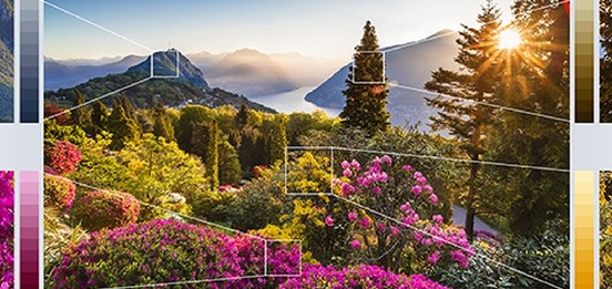 Shot of a scenic view with trees and mountains