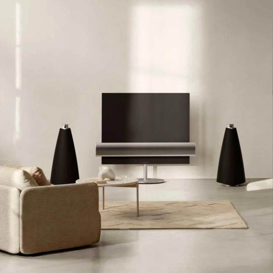 beolab20-hometheatre