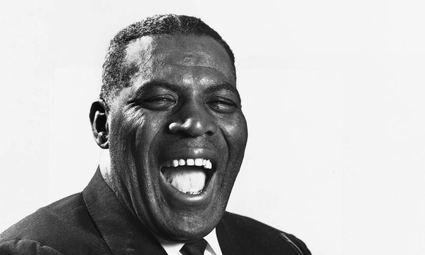 Image result for howlin wolf