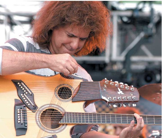 Image result for pat metheny harp