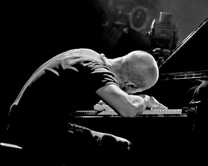Image result for esbjorn svensson trio