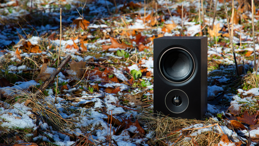 Alpha-P3-bookshelf-speakers