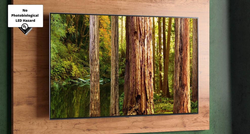 Imaginea unei păduri pe ecranul unui televizor