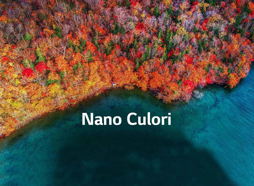 TV-NanoCell-65-55-49-SM90-02-Nano-Color-Desktop_V02